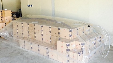 Servizio di disinfestazione e disinfezione Servizio di disinfestazione e disinfezione