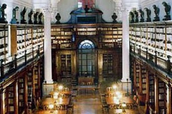 College and University libraries