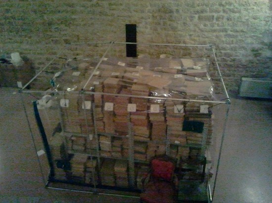 eliminare tarli libri | disinfestazione anossica | pulci della carta | tarlo della carta | 