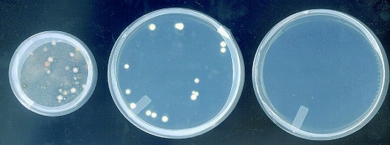 Sterilizzazione - BIOS disinfezione beni culturali | disinfestazione archivio | spolveratura libri | spolveratura archivi